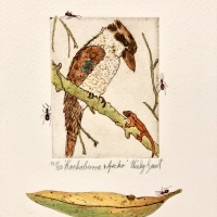 Kookaburra and Gecko