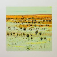 Clem Millward  - Red Hillside and Mulga